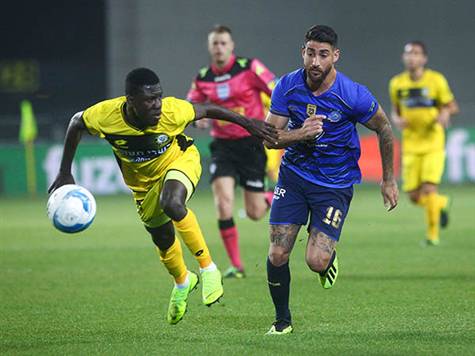 מתי נראה עוד שער? (צילום: אלן שיבר)