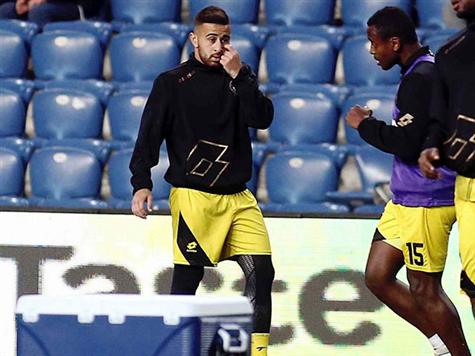 מלך השערים מוכן. סבע (אלן שיבר)