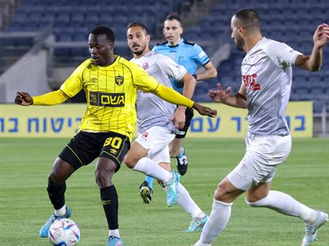 עדיין מאופס בטדי (צילום: דני מרון)