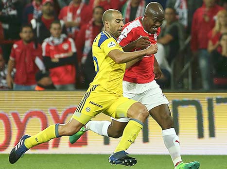 (צילום: אלן שיבר)